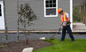 Commercial Property Solutions: Landscaping
